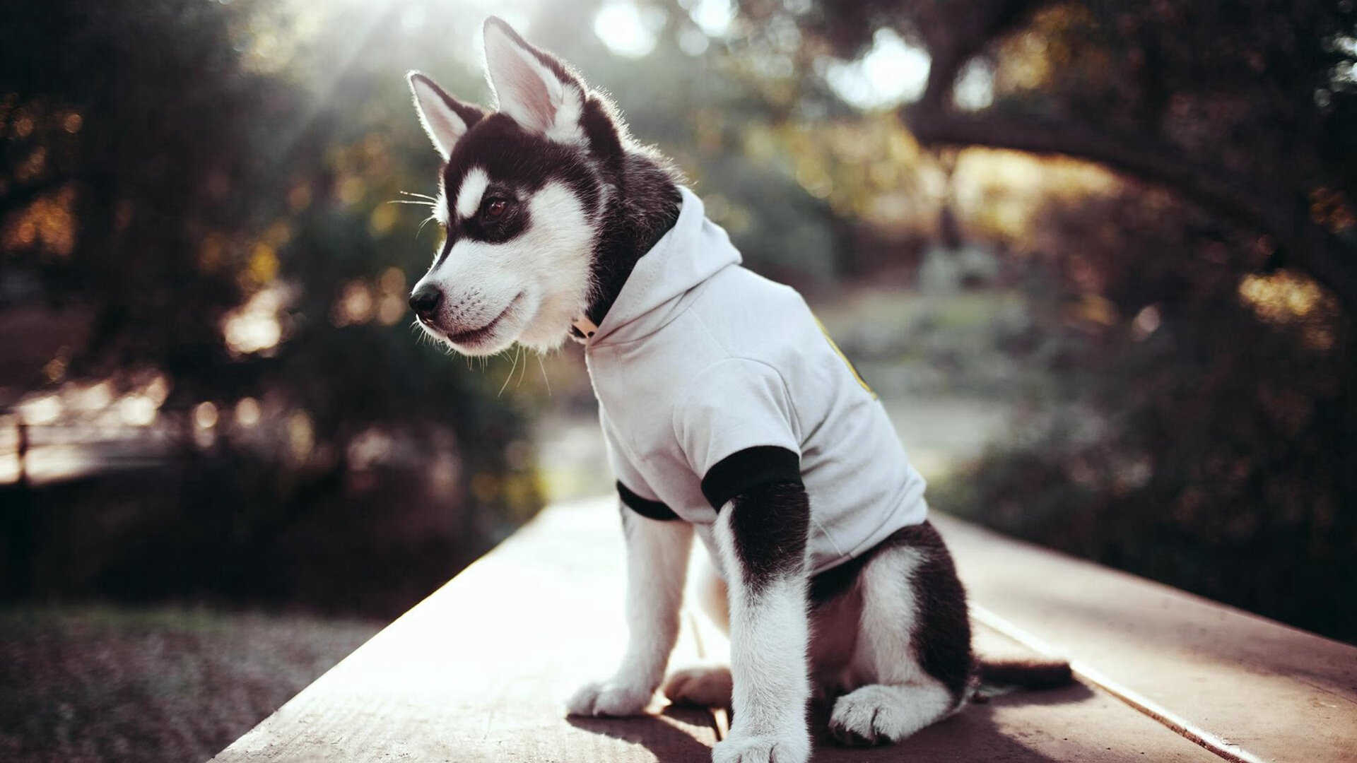 足球世界俱乐部杯直播-马克·阿特金森再度领衔南非进攻，关键时刻屡建奇功，阿特金森和麦克里兰